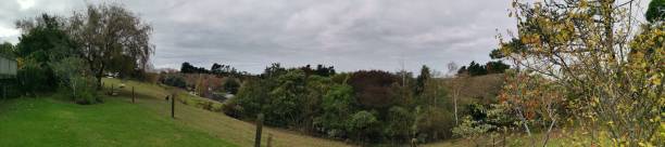 istock Panorama of North Auckland Edge 2047397210
