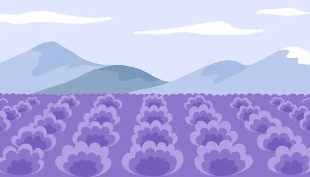 Vector illustration of Provence landscape with lavender field. Simple blooming lavender field scenery. Serenity nature landscape with purple plants, mountains and sky. Vector minimalistic illustration