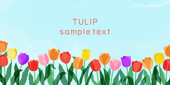 Illustration of Blue Sky and Colorful Tulips Background