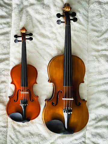 Two different size of violins put on soft cotton cloth,show detail of acoustic instrument.