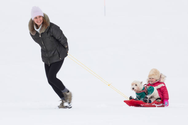 A young mother in a mild snow-covered slope tows a sleigh carrying her little cute daughter and her little dog.