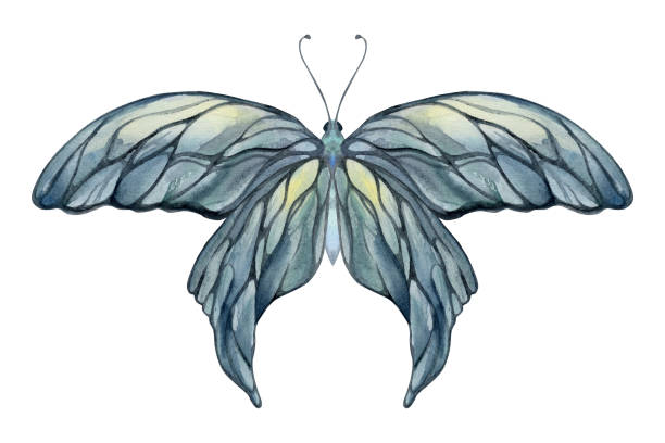 istock Hand drawn watercolor illustration butterfly fairy wings gem crystal insect moth. Opal moonstone pearl labradorite. Set of objects isolated on white background. Design print, shop, wedding, birthday 2047494183