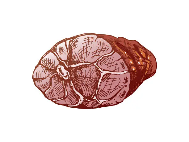 Vector illustration of Hand-drawn colored vector sketch of sliced ham. Italian prosciutto vintage sketch. Butcher shop. Great for label, restaurant menu. Engraved image.