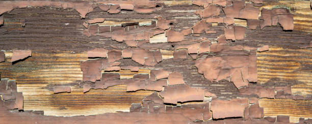istock Panorama weathered peeling paint on a wooden wall 2047520390