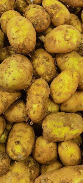 istock large round potatoes in a pile 2047626383