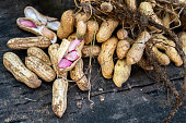 Organic Groundnut Harvest: Freshly Harvested with Leaves - Uttarakhand, India