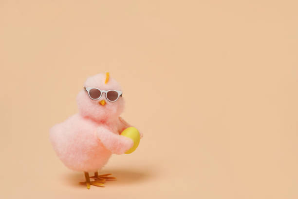 small cool chick in sunglasses with easter egg on beige background, copy space