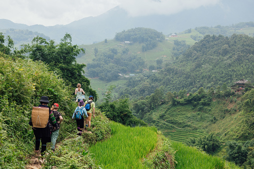 A group of tourists are walking along terraced rice fields in Sa Pa, Vietnam. In the distant part of the valley can be seen more terraces.