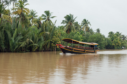 Shot from the water, a tourist canopied boat rides along past lush vegetation and palm trees. the traditional eye is painted on the front of the boat in a red colour. The delta water is a typical brown colour, from all of the silt and nutrients washed into it.