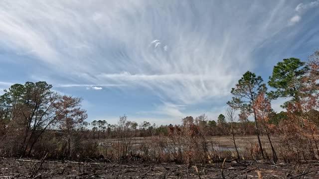 Side view from slow-moving vehicle, of cleared, burned area with natural pond in low area