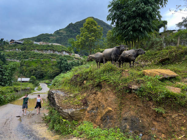 istock Adventure in Sa Pa 2047665407