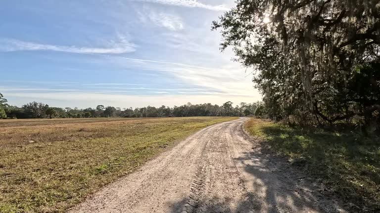 Driving along smooth dirt road along edge of tree-lined pasture area with fading vapor trails in a blue sky