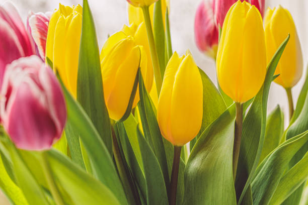 Spring mood - Flower arrangement