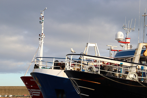 Close up of fishing boats moored in Fraserburgh harbour, Aberdeenshire, Scotland