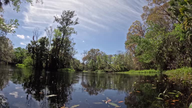 Low angle time lapse of wide creek with hazy clouds moving overhead and leaves float by