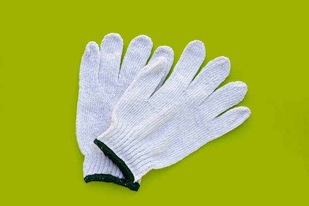 istock White cotton gloves on green background. 2047704934