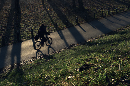 A Biker cycling on road under tree shadows, Zagreb, Croatia.