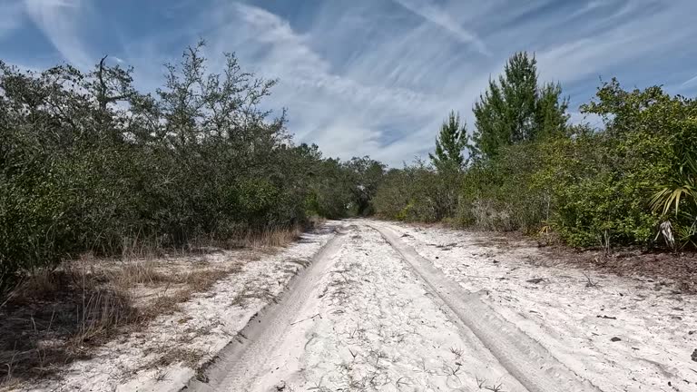 Slow sunny drive through scrubby forest, on soft sand road with deep ruts