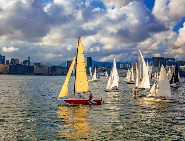 Sailboats on Victoria Harbor