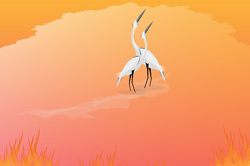 Red Crowned Crane as Long-legged and Long-necked Bird looking for to the sky. Vector Illustration