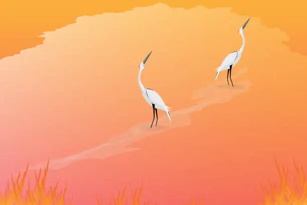 Vector illustration of Red Crowned Crane  looking for to the sky