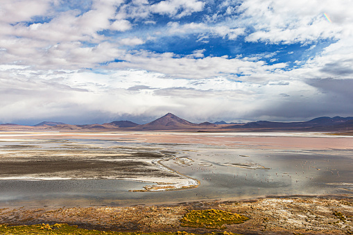 A captivating scene unfolds in the Atacama Desert, where distant mountains frame a tranquil lake. Pink sand surrounds the lake's edge, while white salt deposits form intricate patterns in its center. This picturesque blend of natural elements creates a mesmerizing landscape of contrasting textures and hues.