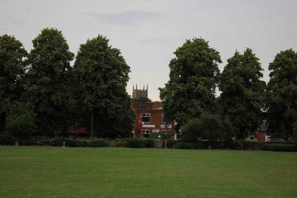 istock Public park with large row of trees in background 2047742883