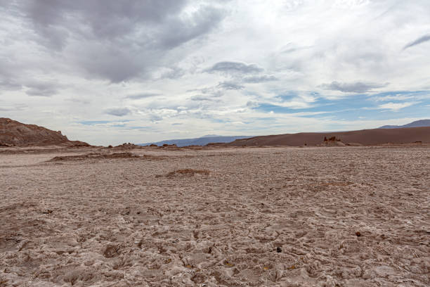 The Valley of the Moon captivates with its surreal landscape of towering sandstone formations, sculpted by wind and water. Silence reigns, broken only by whispers of wind. The valley floor, often barren and devoid of vegetation, stretches out in an endless expanse of dunes and rocky outcrops, adding to the alien ambiance of the surroundings.