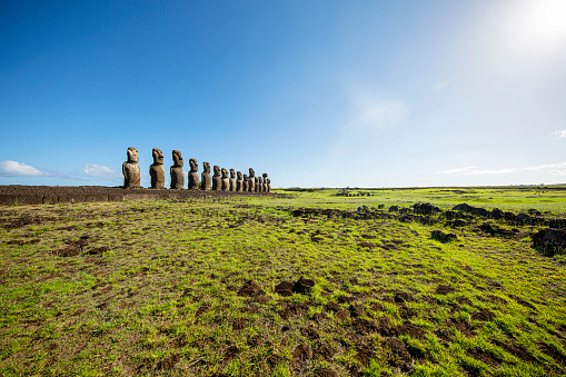 A serene image captures a line of Moai statues standing majestically on a lush green meadowland. Against a backdrop of a clear blue sky, these ancient stone figures exude an aura of mystique and timeless beauty. The contrast between the vibrant greenery and the deep blue sky enhances the tranquility of the scene, inviting viewers to contemplate the history and significance of these iconic sculptures.