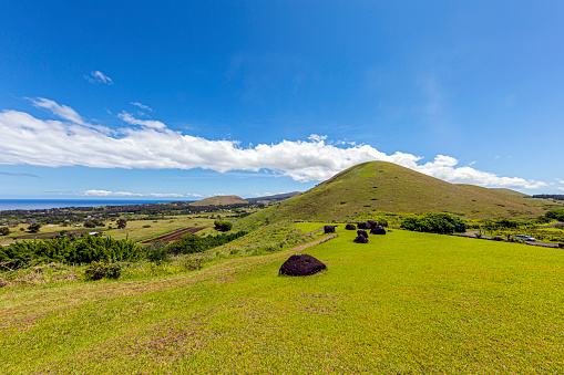Verdant hills of Rapa Nui embrace scattered obsidian stones akin to the island's iconic Moai. A tranquil meadowland emerges, adorned with lush greenery and ancient remnants, evoking a harmonious blend of natural beauty and archaeological intrigue.