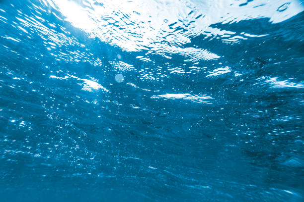 istock a Underwater coral reef on the red sea 2047763464
