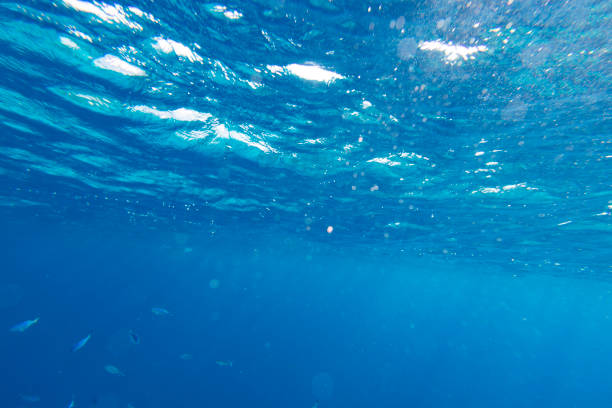 istock a Underwater coral reef on the red sea 2047765065