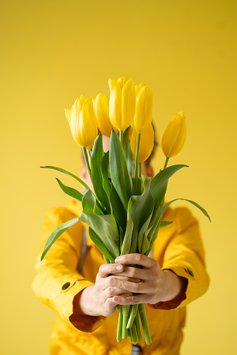 An individual in a yellow shirt stands holding a bouquet of yellow tulips, concealing their face for a vibrant and anonymous presentation