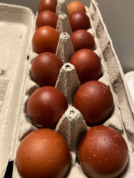 istock Carton of dark chocolate coloured eggs 2047774707
