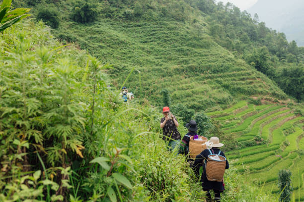 istock Sa Pa Terraced Rice Fields With Tourists and Hill Tribe 2047802869