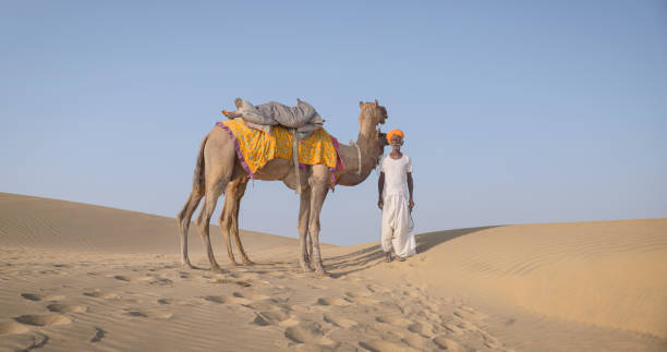 istock Indian man with camels on sand dunes, Rajasthan, India 2047809342