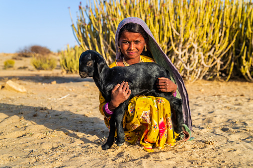 Happy Indian little girl holding a goat, desert village, Thar Desert, Rajasthan, India.