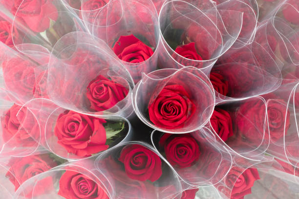 Top view many Rose flowers packing in plastic.