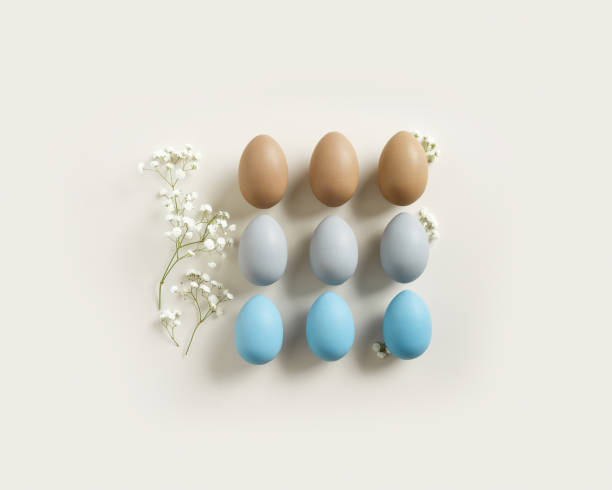 istock Elegant Easter Composition with Pastel Eggs and Spring Blossoms, still life Dyed eggs in soft pastel colors, top view spring holiday minimal creative pattern, neutral earth colored image, above 2047852618