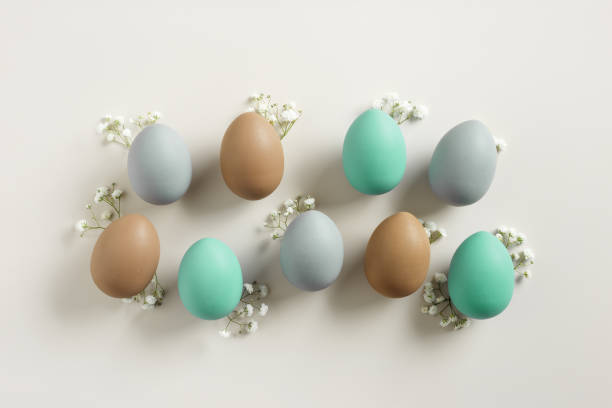 istock Easter Aesthetic with Matte Eggs and Delicate Florals, painted chicken egg decorated white flowers, top view on beige background, spring holiday concept. Minimal style pattern in pastel tones 2047852633