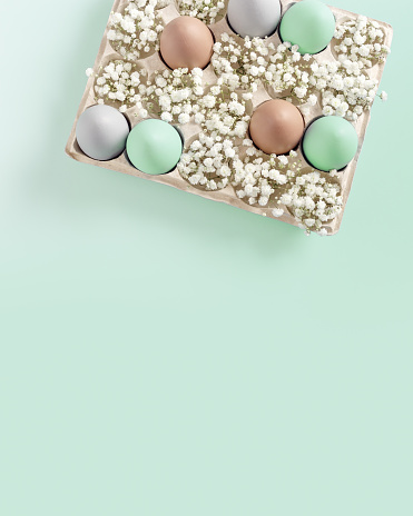 Easter Egg Assortment in Carton with White Baby's Breath on turquoise gradient Background. Pastel colored dyed eggs in package, spring holiday photo, tender soft hues, celebration food white flowers