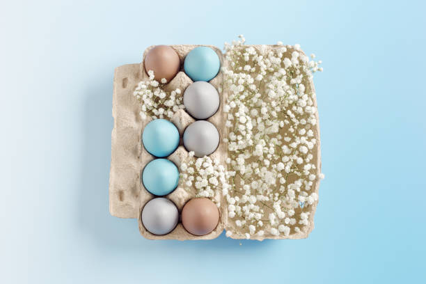 istock Pastel Easter Eggs with white Flowers in Carton box on Blue Background, top view chicken egg painted sky blue, beige colors. Easter celebration concept. Festive food, minimal still life holiday 2047853081