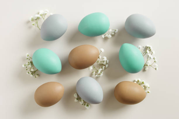 istock Pastel Easter Eggs as minimal pattern with white blooming Flowers on beige color, top view colorful chicken egg. Easter celebration concept. Festive food, still life holiday, aesthetic flat lay 2047853152