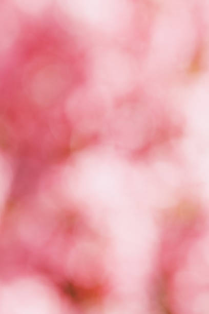Pink Bokeh Lights as Soft Pastel Background, Abstract spring flowering, natural flare from lights,  blurred texture as backdrop, monochrome photo with optical effect