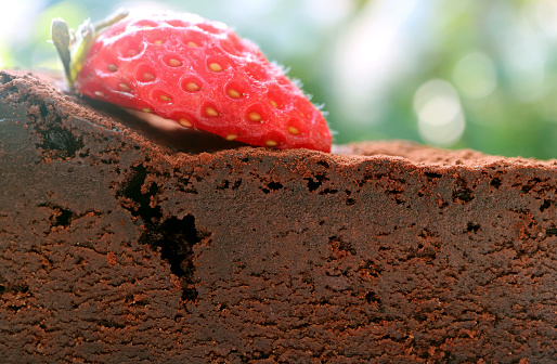 Closeup of the Texture of Flavorful Flourless Chocolate Cake Topped with Fresh Strawberry