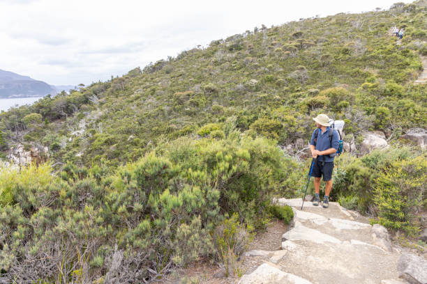 joven de senderismo en tasmania, australia - australian culture hiking australia people fotografías e imágenes de stock