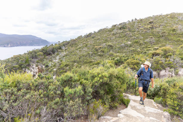 istock Young man hiking in Tasmania, Australia 2047900311