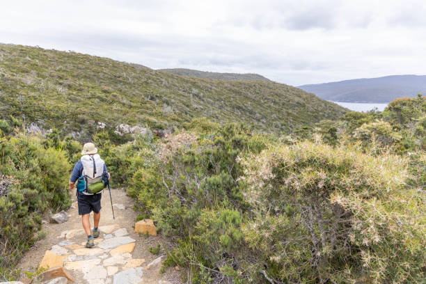 "cliffside odyssey: un excursionista explora la red de senderos de tasmania, envuelto por la majestuosidad costera" - australian culture hiking australia people fotografías e imágenes de stock