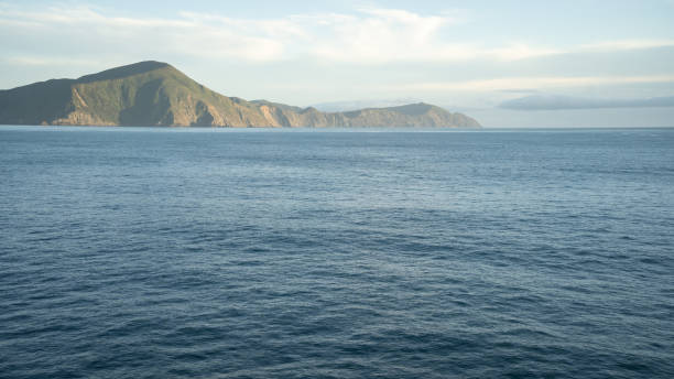 blick auf die hügelige landschaft von einem vorbeifahrenden transportboot während seiner fahrt, neuseeland - marlborough region sunrise new zealand sea stock-fotos und bilder