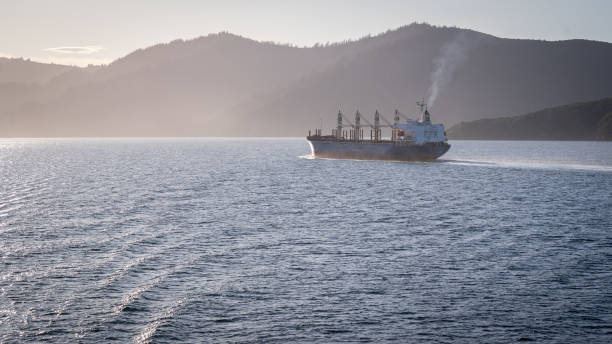 großes frachtschiff verlässt den hafen und segelt der sonne entgegen, neuseeland - marlborough region sunrise new zealand sea stock-fotos und bilder